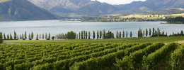 Central Otago