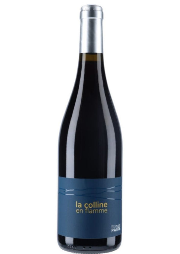 Domaine Des Pothiers 2021 La Colline En Flamme Chardonnay