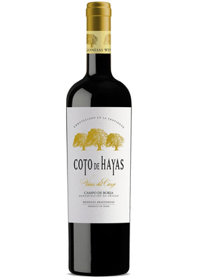 Aragonesas Coto de Hayas Vinas del Cierzo Reserva